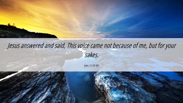 Picture 06 - John 12:30 KJV Desktop Wallpaper - Jesus answered and said, This voice came not - Desktop Bible Verse Wallpaper