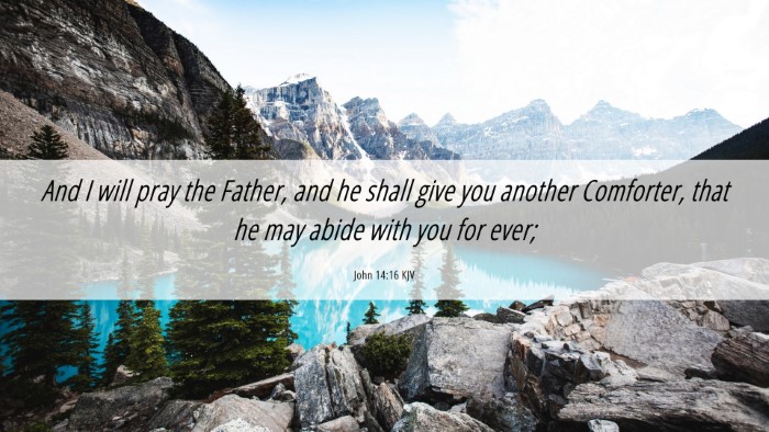 Picture 06 - John 14:16 KJV Desktop Wallpaper - And I will pray the Father, and he shall give you - Desktop Bible Verse Wallpaper