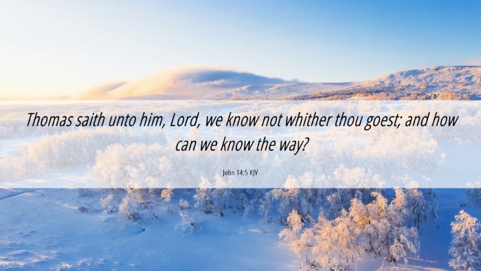 Picture 06 - John 14:5 KJV Desktop Wallpaper - Thomas saith unto him, Lord, we know not whither - Desktop Bible Verse Wallpaper