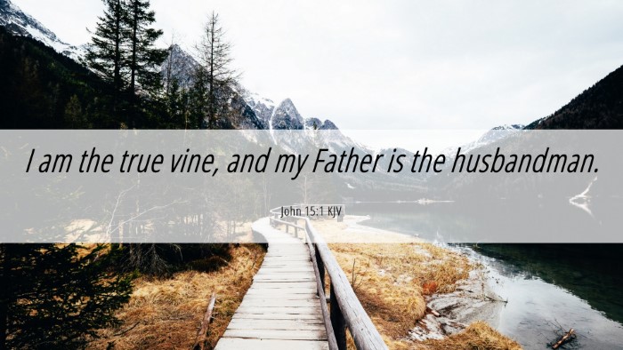 Picture 06 - John 15:1 KJV Desktop Wallpaper - I am the true vine, and my Father is the - Desktop Bible Verse Wallpaper