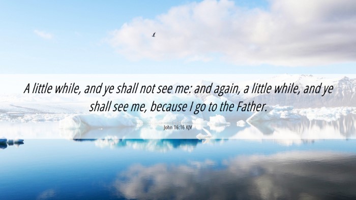 Picture 06 - John 16:16 KJV Desktop Wallpaper - A little while, and ye shall not see me: and - Desktop Bible Verse Wallpaper