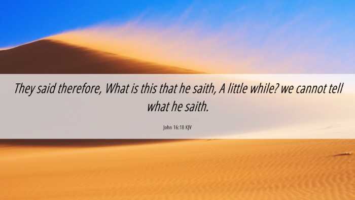 Picture 06 - John 16:18 KJV Desktop Wallpaper - They said therefore, What is this that he saith, - Desktop Bible Verse Wallpaper
