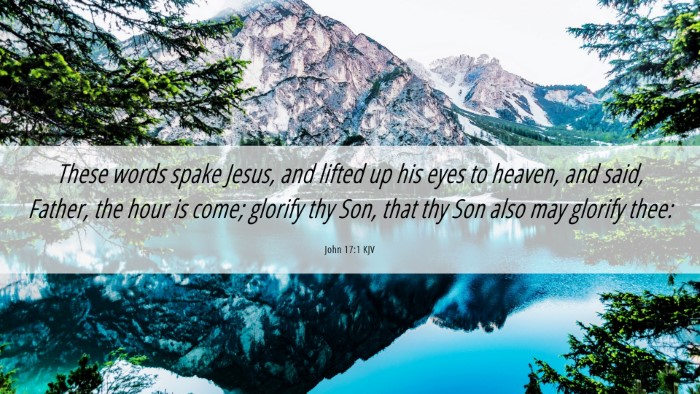 Picture 06 - John 17:1 KJV Desktop Wallpaper - These words spake Jesus, and lifted up his eyes - Desktop Bible Verse Wallpaper
