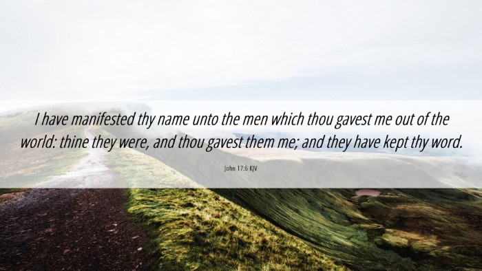 Picture 06 - John 17:6 KJV Desktop Wallpaper - I have manifested thy name unto the men which - Desktop Bible Verse Wallpaper