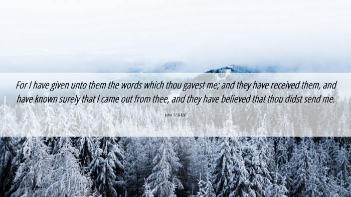 Picture 06 - John 17:8 KJV Desktop Wallpaper - For I have given unto them the words which thou - Desktop Bible Verse Wallpaper