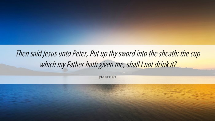 Picture 06 - John 18:11 KJV Desktop Wallpaper - Then said Jesus unto Peter, Put up thy sword into - Desktop Bible Verse Wallpaper