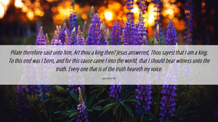Picture 06 - John 18:37 KJV Desktop Wallpaper - Pilate therefore said unto him, Art thou a king - Desktop Bible Verse Wallpaper
