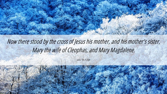 Picture 06 - John 19:25 KJV Desktop Wallpaper - Now there stood by the cross of Jesus his mother, - Desktop Bible Verse Wallpaper