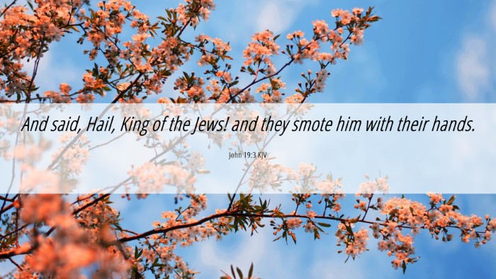 Picture 06 - John 19:3 KJV Desktop Wallpaper - And said, Hail, King of the Jews! and they smote - Desktop Bible Verse Wallpaper