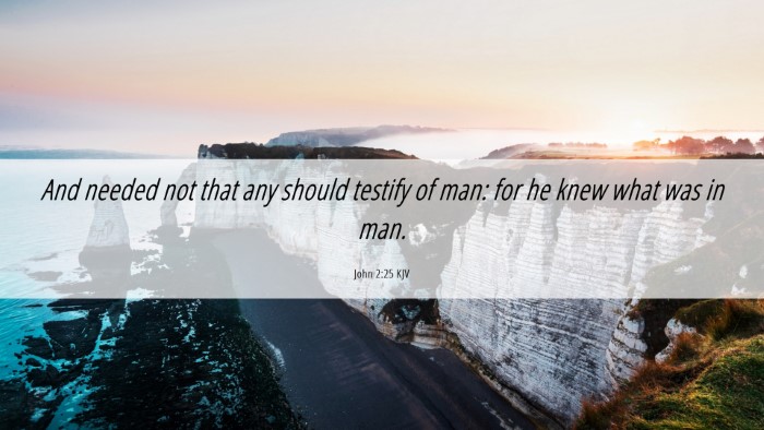 Picture 06 - John 2:25 KJV Desktop Wallpaper - And needed not that any should testify of man: - Desktop Bible Verse Wallpaper