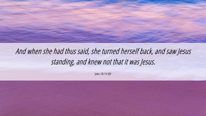 Picture 06 - John 20:14 KJV Desktop Wallpaper - And when she had thus said, she turned herself - Desktop Bible Verse Wallpaper