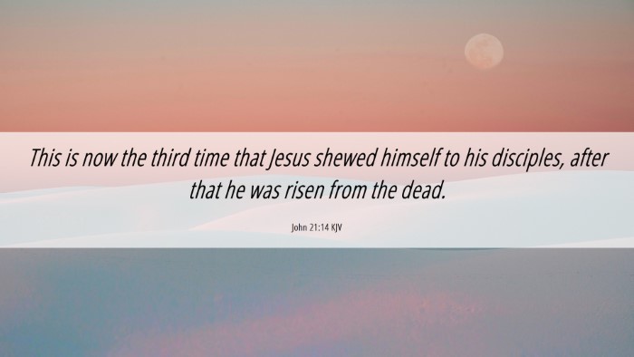 Picture 06 - John 21:14 KJV Desktop Wallpaper - This is now the third time that Jesus shewed - Desktop Bible Verse Wallpaper