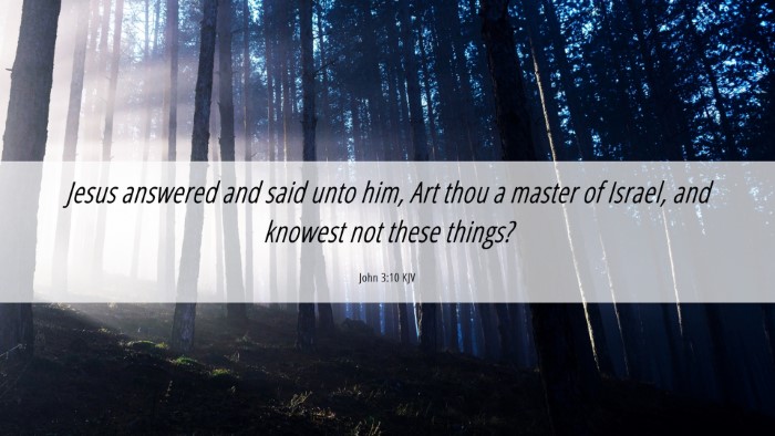 Picture 06 - John 3:10 KJV Desktop Wallpaper - Jesus answered and said unto him, Art thou a - Desktop Bible Verse Wallpaper
