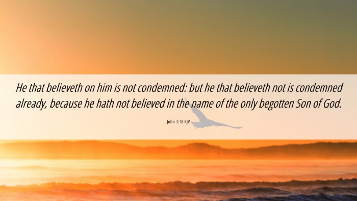 Picture 06 - John 3:18 KJV Desktop Wallpaper - He that believeth on him is not condemned: but he - Desktop Bible Verse Wallpaper