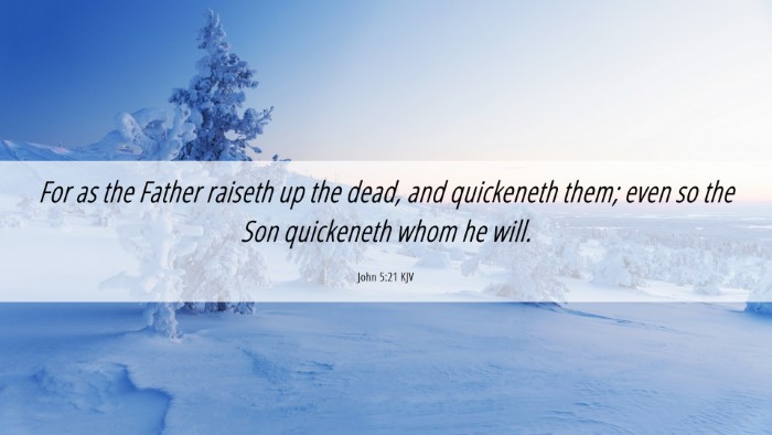 Picture 06 - John 5:21 KJV Desktop Wallpaper - For as the Father raiseth up the dead, and - Desktop Bible Verse Wallpaper