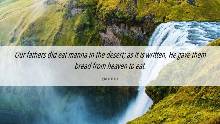 Picture 06 - John 6:31 KJV Desktop Wallpaper - Our fathers did eat manna in the desert; as it is - Desktop Bible Verse Wallpaper