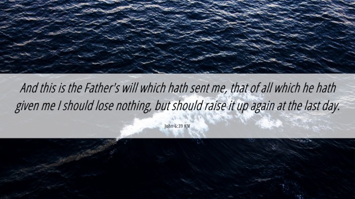 Picture 06 - John 6:39 KJV Desktop Wallpaper - And this is the Father's will which hath sent me, - Desktop Bible Verse Wallpaper