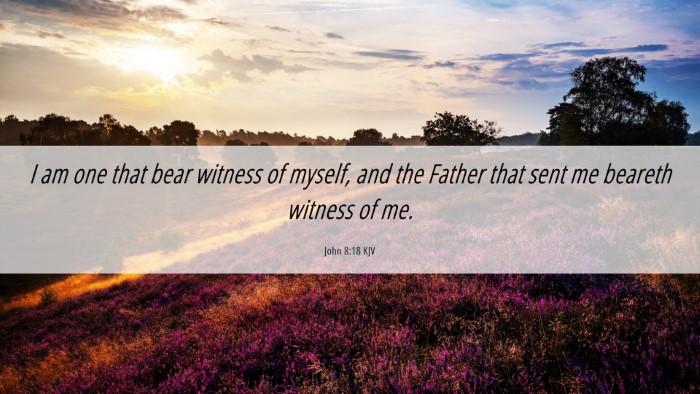 Picture 06 - John 8:18 KJV Desktop Wallpaper - I am one that bear witness of myself, and the - Desktop Bible Verse Wallpaper