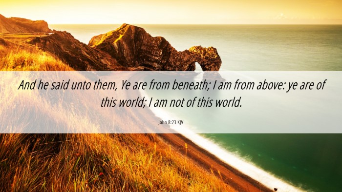 Picture 06 - John 8:23 KJV Desktop Wallpaper - And he said unto them, Ye are from beneath; I am - Desktop Bible Verse Wallpaper