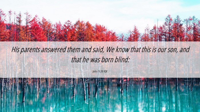 Picture 06 - John 9:20 KJV Desktop Wallpaper - His parents answered them and said, We know that - Desktop Bible Verse Wallpaper
