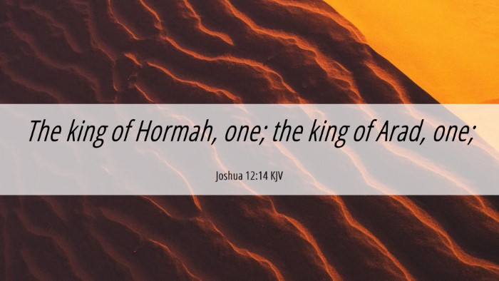 Picture 06 - Joshua 12:14 KJV Desktop Wallpaper - The king of Hormah, one; the king of Arad, - Desktop Bible Verse Wallpaper
