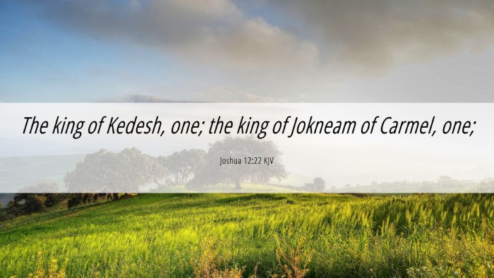 Picture 06 - Joshua 12:22 KJV Desktop Wallpaper - The king of Kedesh, one; the king of Jokneam of - Desktop Bible Verse Wallpaper