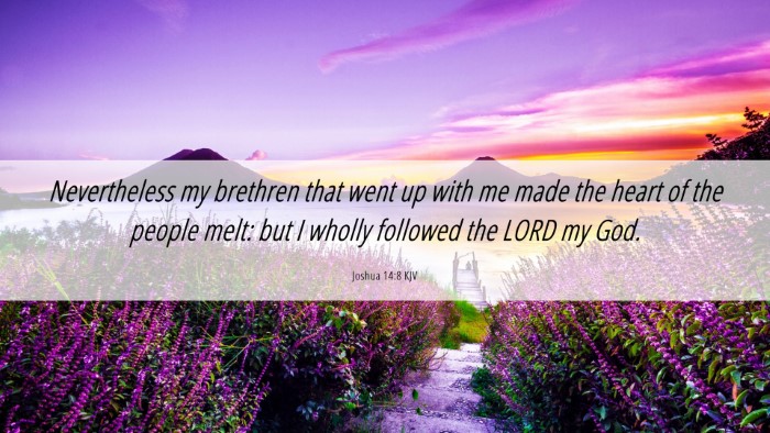 Picture 06 - Joshua 14:8 KJV Desktop Wallpaper - Nevertheless my brethren that went up with me - Desktop Bible Verse Wallpaper