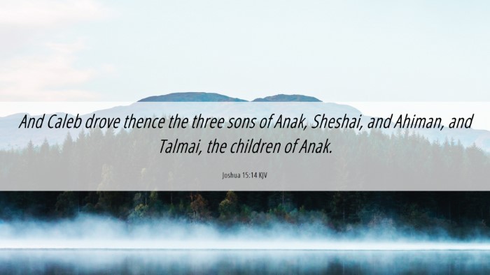 Picture 06 - Joshua 15:14 KJV Desktop Wallpaper - And Caleb drove thence the three sons of Anak, - Desktop Bible Verse Wallpaper