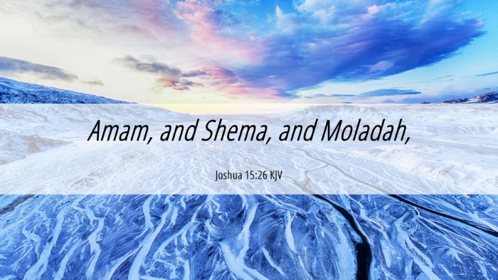 Picture 06 - Joshua 15:26 KJV Desktop Wallpaper - Amam, and Shema, and - Desktop Bible Verse Wallpaper