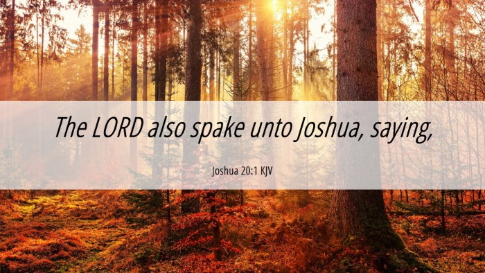Picture 06 - Joshua 20:1 KJV Desktop Wallpaper - The LORD also spake unto Joshua, - Desktop Bible Verse Wallpaper