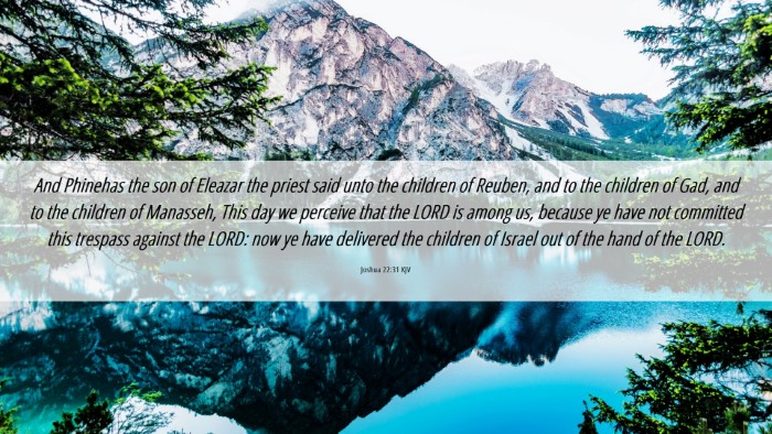 Picture 06 - Joshua 22:31 KJV Desktop Wallpaper - And Phinehas the son of Eleazar the priest said - Desktop Bible Verse Wallpaper