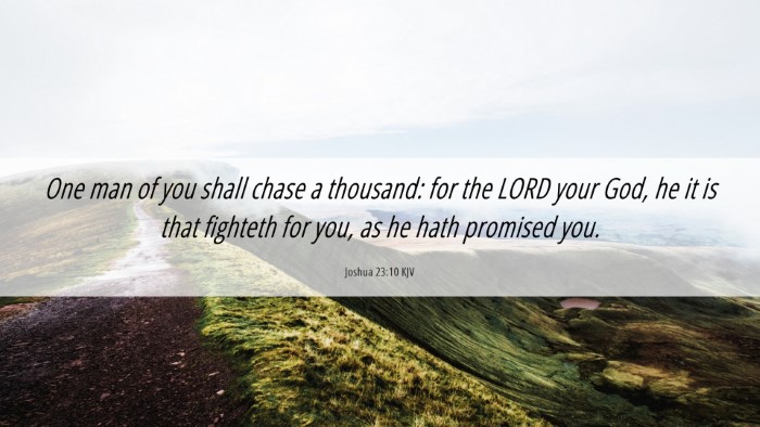 Picture 06 - Joshua 23:10 KJV Desktop Wallpaper - One man of you shall chase a thousand: for the - Desktop Bible Verse Wallpaper