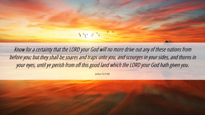 Picture 06 - Joshua 23:13 KJV Desktop Wallpaper - Know for a certainty that the LORD your God will - Desktop Bible Verse Wallpaper