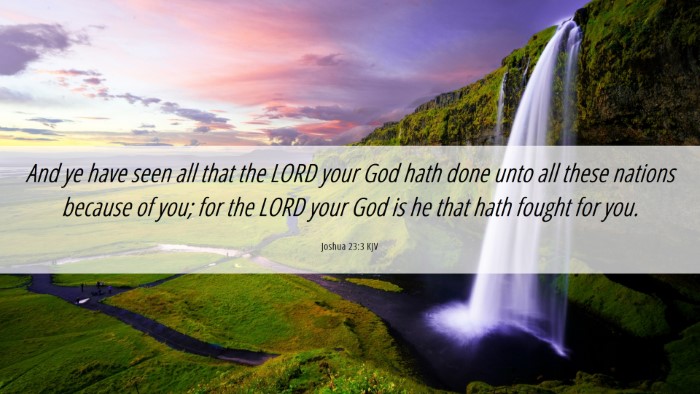 Picture 06 - Joshua 23:3 KJV Desktop Wallpaper - And ye have seen all that the LORD your God hath - Desktop Bible Verse Wallpaper