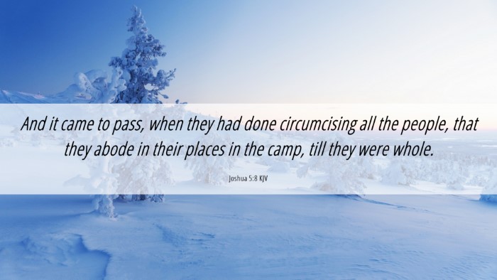 Picture 06 - Joshua 5:8 KJV Desktop Wallpaper - And it came to pass, when they had done - Desktop Bible Verse Wallpaper