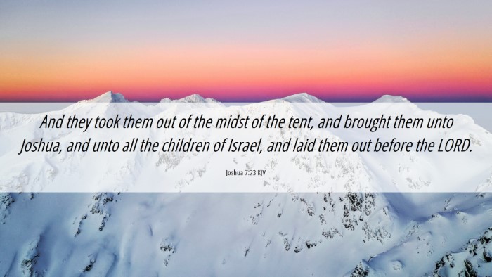 Picture 06 - Joshua 7:23 KJV Desktop Wallpaper - And they took them out of the midst of the tent, - Desktop Bible Verse Wallpaper