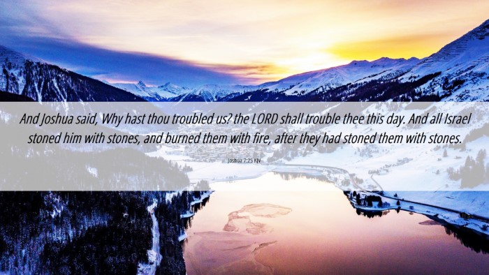 Picture 06 - Joshua 7:25 KJV Desktop Wallpaper - And Joshua said, Why hast thou troubled us? the - Desktop Bible Verse Wallpaper