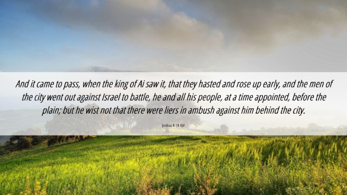 Picture 06 - Joshua 8:14 KJV Desktop Wallpaper - And it came to pass, when the king of Ai saw it, - Desktop Bible Verse Wallpaper