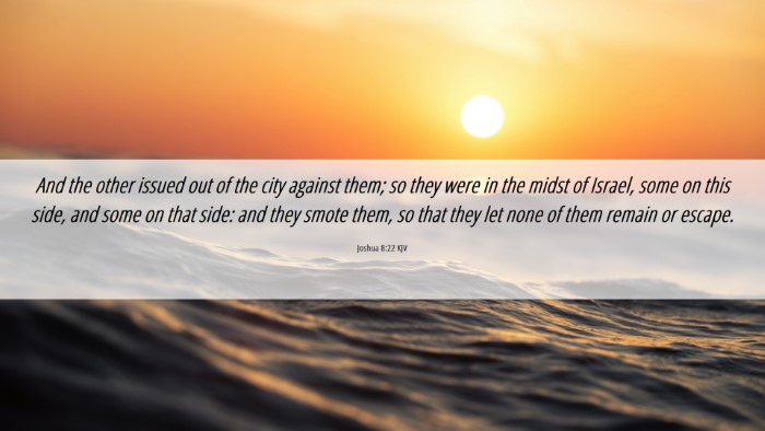 Picture 06 - Joshua 8:22 KJV Desktop Wallpaper - And the other issued out of the city against - Desktop Bible Verse Wallpaper