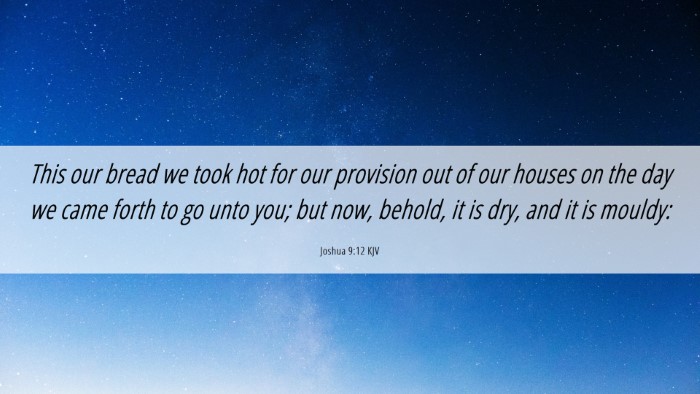 Picture 06 - Joshua 9:12 KJV Desktop Wallpaper - This our bread we took hot for our provision out - Desktop Bible Verse Wallpaper