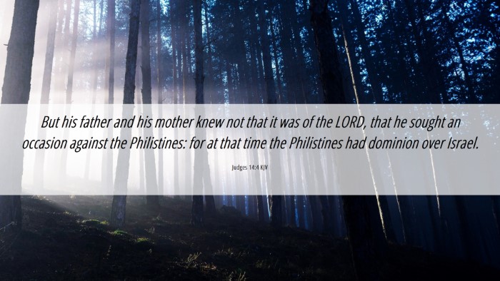 Picture 06 - Judges 14:4 KJV Desktop Wallpaper - But his father and his mother knew not that it - Desktop Bible Verse Wallpaper