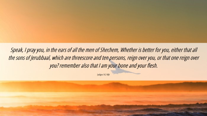 Picture 06 - Judges 9:2 KJV Desktop Wallpaper - Speak, I pray you, in the ears of all the men of - Desktop Bible Verse Wallpaper