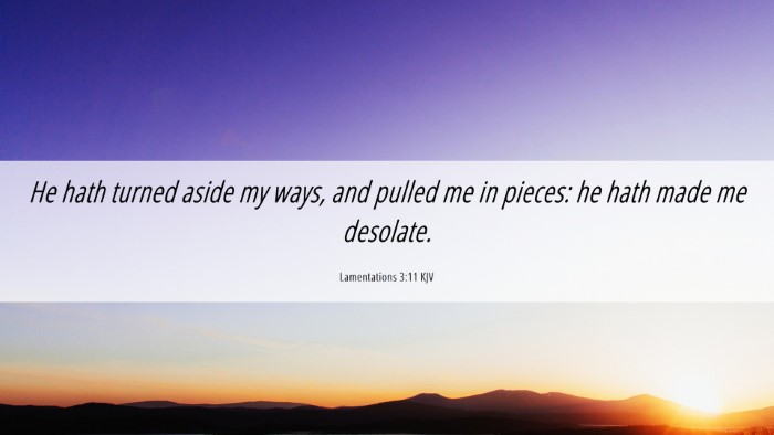 Picture 06 - Lamentations 3:11 KJV Desktop Wallpaper - He hath turned aside my ways, and pulled me in - Desktop Bible Verse Wallpaper
