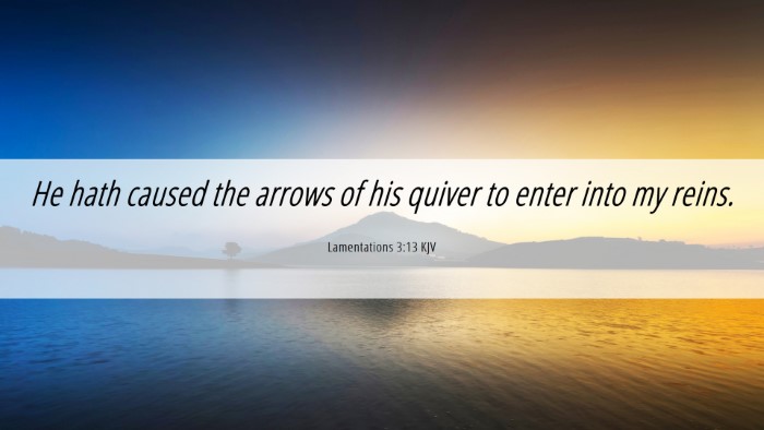 Picture 06 - Lamentations 3:13 KJV Desktop Wallpaper - He hath caused the arrows of his quiver to enter - Desktop Bible Verse Wallpaper