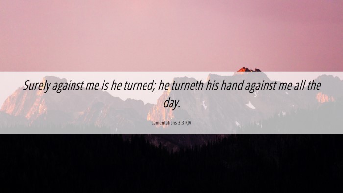 Picture 06 - Lamentations 3:3 KJV Desktop Wallpaper - Surely against me is he turned; he turneth his - Desktop Bible Verse Wallpaper