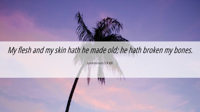 Picture 06 - Lamentations 3:4 KJV Desktop Wallpaper - My flesh and my skin hath he made old; he hath - Desktop Bible Verse Wallpaper