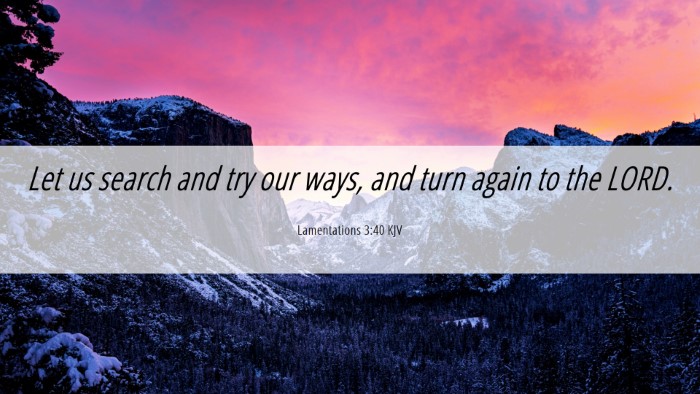 Picture 06 - Lamentations 3:40 KJV Desktop Wallpaper - Let us search and try our ways, and turn again to - Desktop Bible Verse Wallpaper