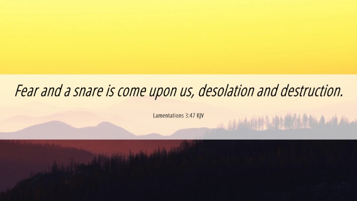 Picture 06 - Lamentations 3:47 KJV Desktop Wallpaper - Fear and a snare is come upon us, desolation and - Desktop Bible Verse Wallpaper