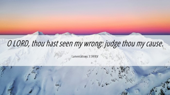 Picture 06 - Lamentations 3:59 KJV Desktop Wallpaper - O LORD, thou hast seen my wrong: judge thou my - Desktop Bible Verse Wallpaper