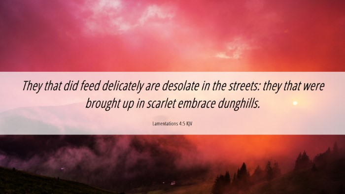 Picture 06 - Lamentations 4:5 KJV Desktop Wallpaper - They that did feed delicately are desolate in the - Desktop Bible Verse Wallpaper